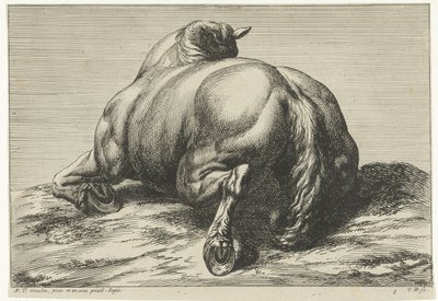 A Horse Lying on Its Belly Seen from Behind by Jan van Huchtenburgh